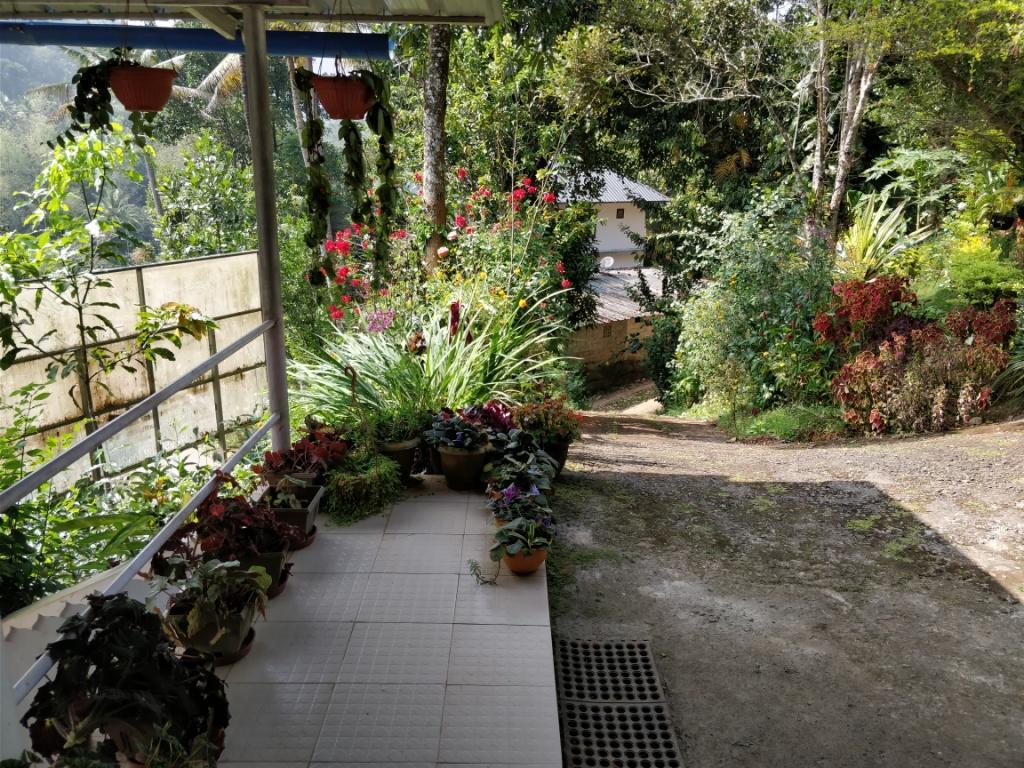 River View Inn Munnar Exterior photo