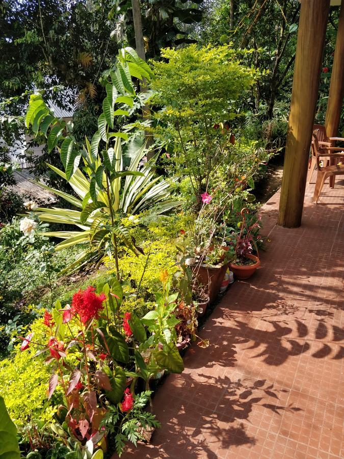 River View Inn Munnar Exterior photo